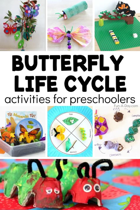 These butterfly life cycle activities are perfect as part of your next preschool butterfly theme! Sensory play, crafts, and STEM activities abound as the kids explore the life cycle of a butterfly. Butterfly Sensory Activities, Butterfly Cycle Preschool, Preschool Butterfly Theme, Preschool Butterfly, Butterfly Life Cycle Activity, Life Cycle Activities, Life Cycle Of A Butterfly, Cycle Of A Butterfly, Butterflies Activities