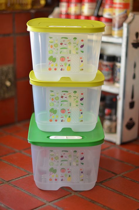 Fruit and veggies stay fresher using our Tupperware FridgeSmart Containers and last longer too! Tupperware Fridgesmart, Freezer Storage Bins, Tupperware Party, Tupperware Consultant, Commercial Freezer, Smart Fridge, Tupperware Products, Tupperware Recipes, Freezer Storage