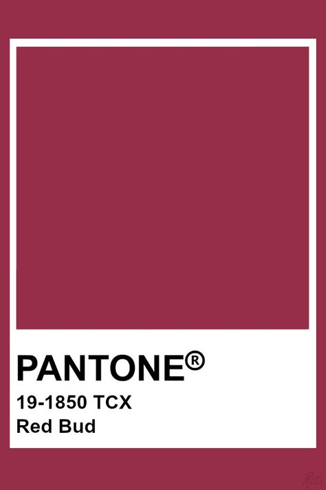 Tcx Pantone, Palette Winter, Pantone Tcx, Pantone Red, Pantone Colours, Pantone Color Chart, Flat Color Palette, Pantone Swatches, Deep Winter Colors