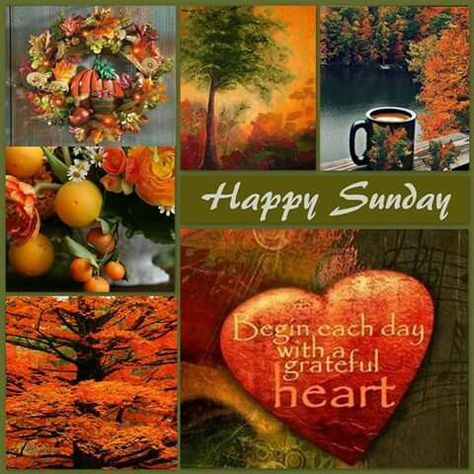 Sunday Blessings Inspiration, Winter Sunday, Nina Brown, Autumn Greetings, Animated Pics, Autumn Pictures, Happy Sunday Morning, Sunday Morning Quotes, Morning Pic