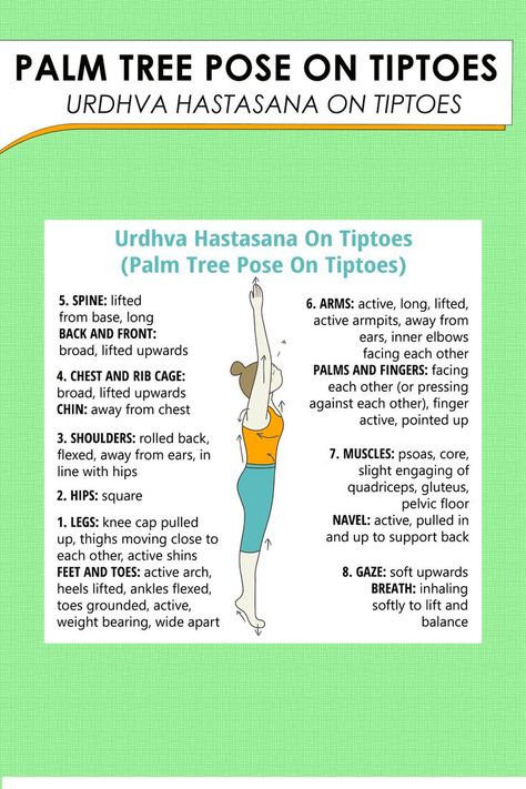 Learn and teach your students about Palm Tree Pose On Tiptoes Level | Beginner Position | Standing Type | Stretch , Strength , Balance Palm Tree Pose On Tiptoes is considered a base pose as palm tree pose on tiptoes variations can be derived from this pose. It benefits the muscles of the Arms and Shoulders, Upper Back, Feet and Ankles, Hamstrings. #tummeeyoga #yogaapp #yogasequencebuilder #yogaexercise #yogalessons #yogaseries #yogaasana Yoga App, Yoga Goals, Yoga Lessons, Arm Muscles, Tree Pose, Health And Vitality, Breathing Techniques, Yoga Postures, Yoga Sequences