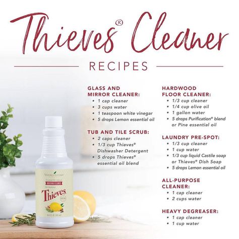 Young Living Education on Instagram: “Versatile and effective! You can clean almost every surface in your home with Thieves Cleaner! . . . #yleo #younglivingeo #essentialoils…” Thieves Cleaner Recipe, Living Oils Recipes, Mirror Cleaner, Thieves Cleaner, Thieves Household Cleaner, Young Living Essential Oils Recipes, Essential Oils Guide, Essential Oils Cleaning, Essential Oil Diffuser Recipes