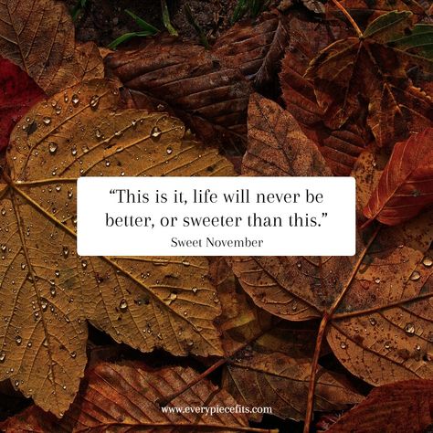 fall quote, fall quotes, fall vibes, sweet november, life, fall, autumn Hi November Quotes, November Vibes Quotes, November Month Quotes, November Aesthetic Quotes, November Asethic, November Quotes Fall, November Quotes Aesthetic, Quotes About November, November Quotes Motivation