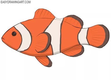 How to Draw a Clownfish - Easy Drawing Art Drawing Ideas Clown, Clown Fish Drawing, Clownfish Drawing, Ocean Kingdom, Assignment Ideas, Fish Outline, Baby Otter, Amazing Drawing Ideas, Ocean Drawing