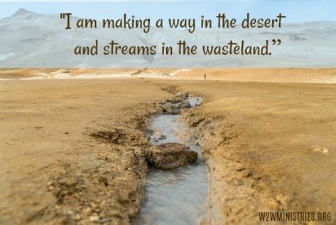 Streams In The Desert, Woman To Woman, Isaiah 43 19, Titus 2, Fun Questions To Ask, First Day Of Spring, New Growth, In The Desert, He Is Able