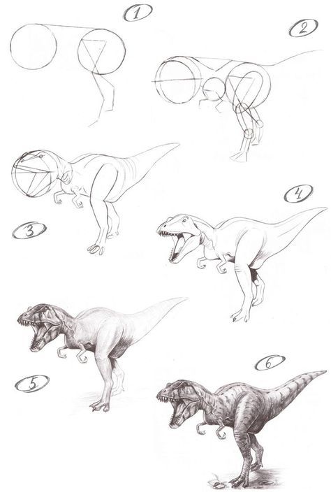 Learn to draw a T-Rex with tutorial from ImagiDraw.com How To Draw Trex Dinosaur, T Rex Anatomy, T Rex Reference, How To Draw A Trex, Dinosaur Anatomy Drawing, Cartoon T Rex Drawing, Dinosaur Drawing Tutorial, How To Draw Dinosaurs Step By Step, T Rex Sketch