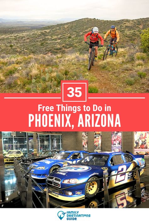 35 Free Things to Do in Phoenix, Arizona To Do In Phoenix Arizona, Animal Experiences, Summer Escape, Family Destinations, Winter Getaway, Fun Family Activities, Free Activities, Yoga For Kids, Free Things To Do