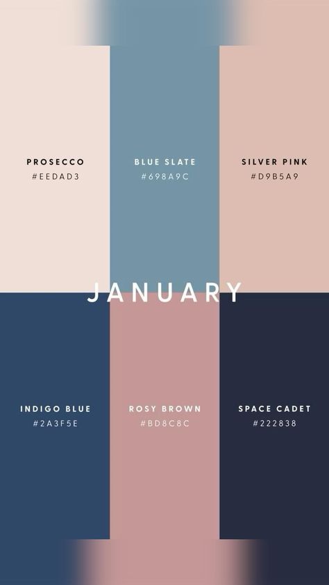 Monthly Colour Palette Canva Design Ideas, January Nail Colors, Wedding Planner Printable, January Colors, Free Wedding Planner, Pantone Colour Palettes, Winter Color Palette, Spring Color Palette, Wedding Planner Printables