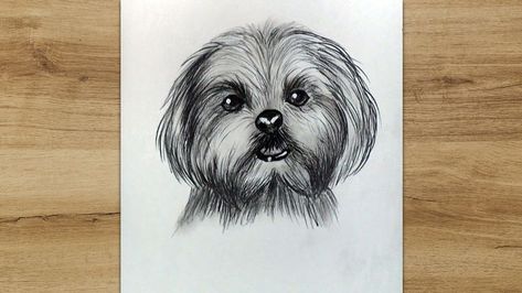 Maltese Drawing, Pencil Drawing Tutorial, Pencil Drawing Tutorials, Dog Steps, Dog Sketch, Sip N Paint, Maltese Dog, Maltese Dogs, Landscape Drawings