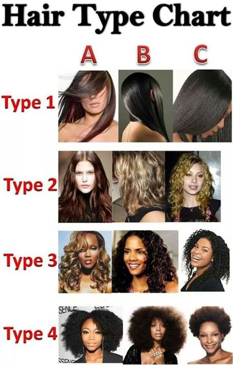 Hair type chart Bantu Braids, Hair Texture Chart, Types Of Curly Hair, Hair Type Chart, Cantu Hair Products, Hair Chart, Character Descriptions, Hair History, Braids Curls