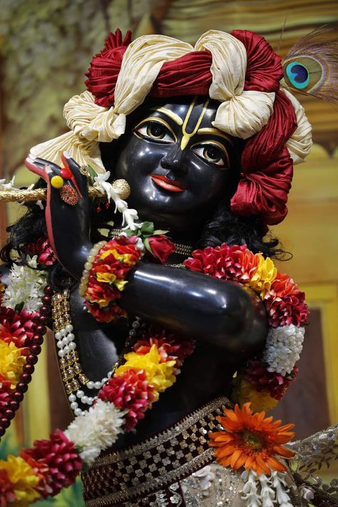 Krishna Images Iskcon, Black Krishna Murti, Black Krishna, Lord Wallpaper, Krsna Consciousness, Krishna Murti, Iskcon Krishna, Iphone Wallpaper Classy, Canvas Art Quotes