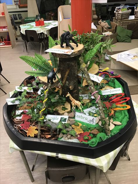 I love this jungle habitat theme that also incorporates fine motor, literacy, language and social development.  The use of natural items and creating layers of the jungle are a wonderful way for the students to explore this natural habitat. Animal Habitat Provocation, World Animal Day Tuff Tray, Animal Boogie Activities, Rainforest Tuff Tray Ideas, Jungle Animals Tuff Tray, Jungle Themed Tuff Tray, Jungle Animal Tuff Tray Ideas, Rainforest Tuff Tray, Jungle Role Play