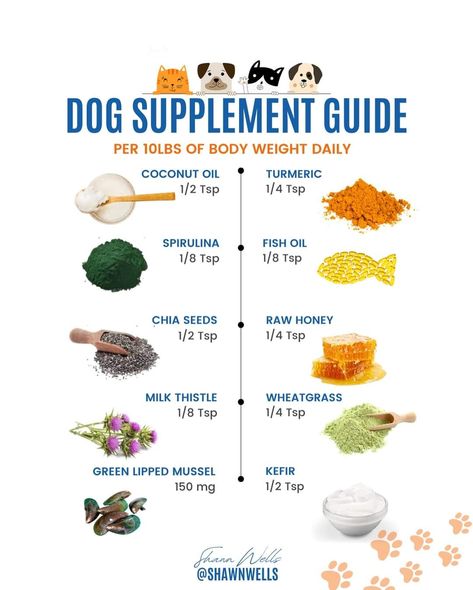 Dog Supplements Natural, Dog Medicine Chart, Holistic Dog Food, Senior Dogs Care, Supplement Guide, Dog Medicine, Coconut Oil For Dogs, Green Lipped Mussel, Dog Remedies