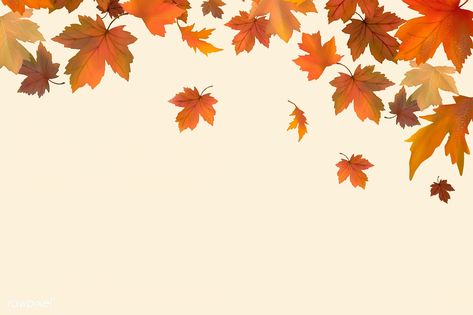 Red maple leaf framed background illustration | free image by rawpixel.com / wodn2080 Screen Savers Wallpapers Backgrounds, Autumn Leaves Background, Red Maple Leaf, Fall Frames, Minimal Architecture, Fall Banner, Screen Savers Wallpapers, Fashion Illustrations Techniques, Web Design Resources