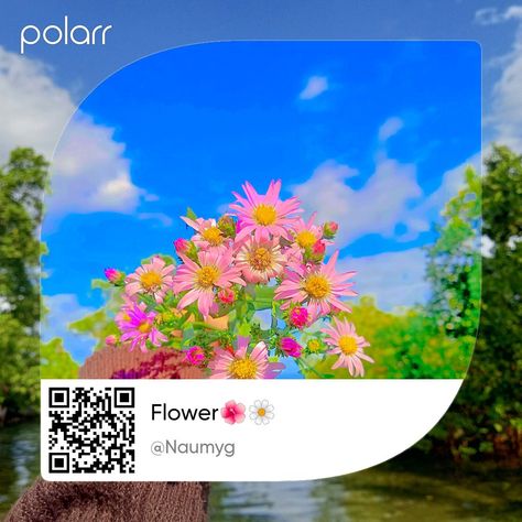 Polarr Pastel Filters Code, Polar Qr Code Aesthetic, Best Polarr Filters Code, Polarr Effect Code, Pollar Filters Code Aesthetic, Qr Code Aesthetic, Polarr Qr Codes, Polarr Filters Code Aesthetic, Polar Filters Code