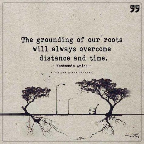 Grounding of our roots - http://themindsjournal.com/grounding-of-our-roots/ Roots Quotes Family, Back To Roots Quotes, Tree Roots Quote, Our Roots Run Deep Our Love Runs Deeper, Roots Quotes Inspiration, Your Roots Quotes, Quotes About Roots, Rooted Quotes, Root Quotes