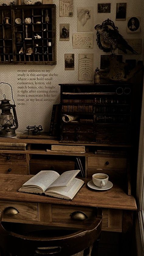 Dark Academy Library, Dark Academia Bedroom Inspo Vintage, Earth Academia Aesthetic, Dark Academia Desk Aesthetic, Taracore Aesthetic, Brown House Aesthetic, Dark Acedamia House, Dark Academia Inspiration, Dark Brown Room Aesthetic