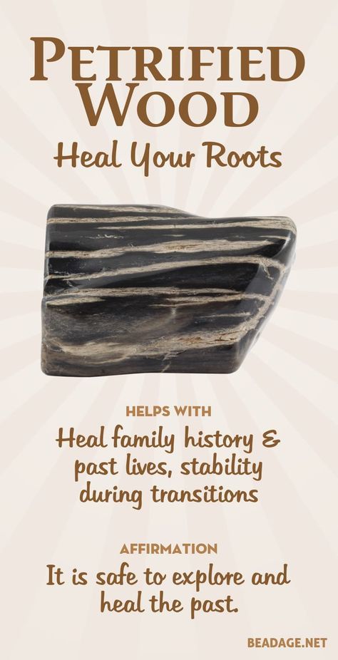 Petrified Wood Meaning, Energy Vibes, Gemstones Crystals, Crystals Healing Properties, Spiritual Crystals, Gemstone Meanings, Crystal Therapy, Crystal Healing Stones, Crystal Magic