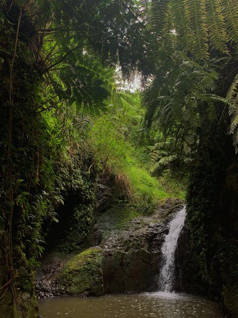 hiking to a waterfall filled with green plants around Hiking Hawaii Aesthetic, Island Survival Aesthetic, Idealistic Aesthetic, Gloomy Beach Aesthetic, Hawaiian Nature, Hawaii Forest, Hiking In Hawaii, Waterfall Aesthetic, 2025 Moodboard