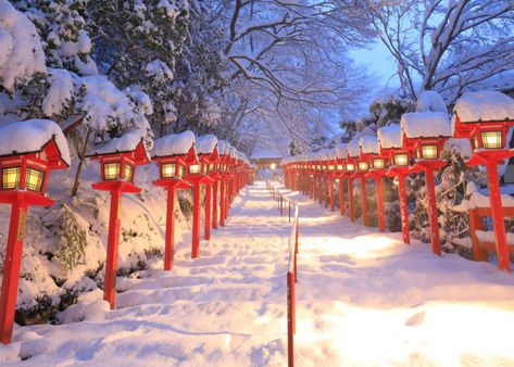 Osaka Winter, Kobe City, Winter In Japan, Japan Winter, Light Festival, Winter Trip, Best Ski Resorts, Japan Travel Guide, Winter Festival