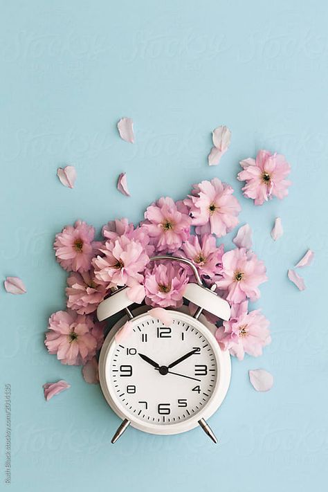 Stock photo of Alarm clock and cherry blossom by RuthBlack Purple Flower Background, Decoration Shabby, Clock Wallpaper, Rose Background, Flower Background Wallpaper, Flower Phone Wallpaper, Tumblr Wallpaper, Inverness, Jolie Photo