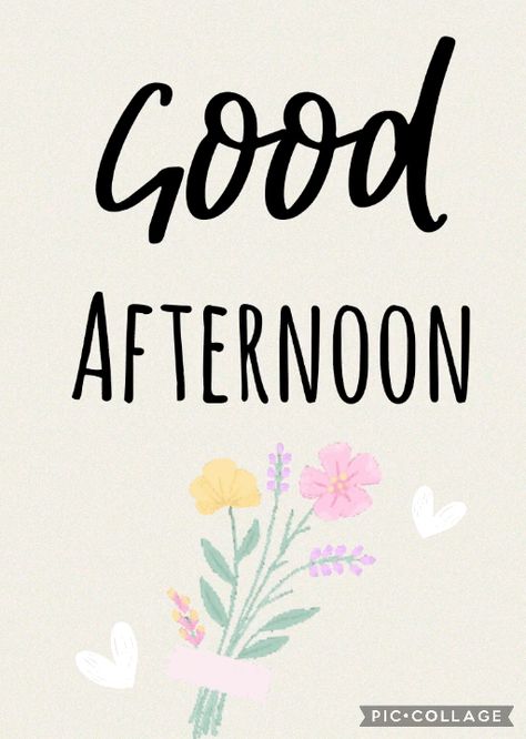 Happy Afternoon Gif, Good Afternoon Quotes Funny, Good Afternoon Gif, Happy Afternoon, Faculty Meetings, Good Afternoon Quotes, Love Rose Flower, Evening Quotes, Afternoon Quotes