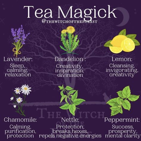 Tea Magick, Tea Blends Recipes, Herbal Tea Garden, Kitchen Witch Recipes, Herbal Education, Witch Herbs, Magia Das Ervas, Herbal Teas Recipes, Magic Herbs