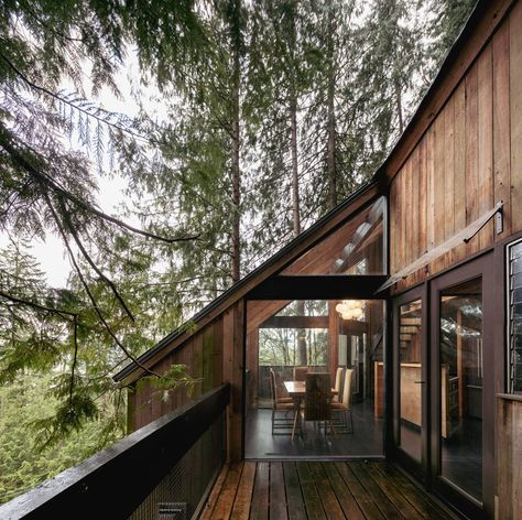 Tree House — West Coast Modern | Real Estate Agents for Architect-Designed Property West Coast Contemporary Homes, West Coast House, West Coast Modern, Patio Addition, Architectural Ideas, Modern Real Estate, West Vancouver, Patio Designs, Backyard Patio Designs