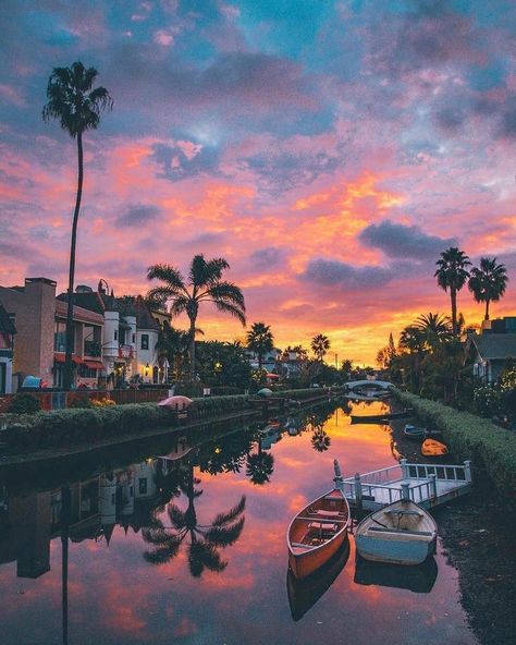 Venice Beach Canals + 25 Best Photo Spots in LA (photo: @michaelste) // Local Adventurer California Travel Destinations | California Honeymoon | Backpack California | Backpacking | California Vacation | California Photography | USA | United States America | Bucket List | Wanderlust | Things to Do | Food | Tourism | #travel #honeymoon #vacation #backpacking #budgettravel #wanderlust #California #USA #America #UnitedStates #visitCalifornia #TravelCalifornia Venice Beach Canals, California Honeymoon, Chinese Lion, Los Angeles Travel, Venice Canals, Italy Venice, Couple Travel, California Vacation, Visit California