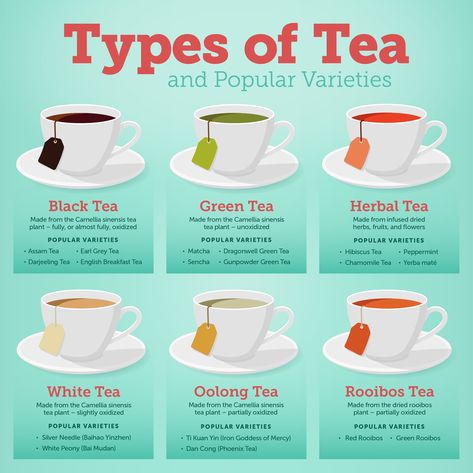 The 6 Different Types of Tea Explained | WebstaurantStore Kinds Of Tea, Tea Types, Tea Remedies, Assam Tea, Different Types Of Tea, English Breakfast Tea, Perfect Cup Of Tea, Rooibos Tea, Herbal Teas Recipes