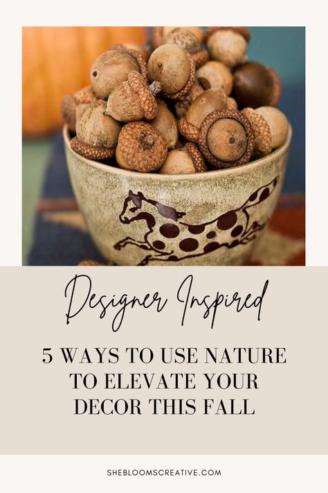 Changing out your home decor each season can get expensive! Let me show you 5 ways to decorate your home for FREE this fall! Fall Decor Mood Board, Fall Natural Decor, Fall 2024 Home Decor, Natural Home Decor Ideas, Eco Friendly Fall Decor, Free Fall Decor, Natural Fall Decor Ideas, Fall Decor From Nature, Natural Autumn Decor