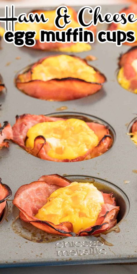 Low Carb Ham Egg And Cheese Cups, Keto Breakfast Cups Egg Muffins, Egg Muffins Breakfast Ham, Keto Egg Muffins Low Carb, Ham And Cheese Breakfast Muffins, Low Carb Egg Cups, Keto Breakfast Cups, Keto Breakfast Egg Muffins, Egg Muffin Cups With Cottage Cheese