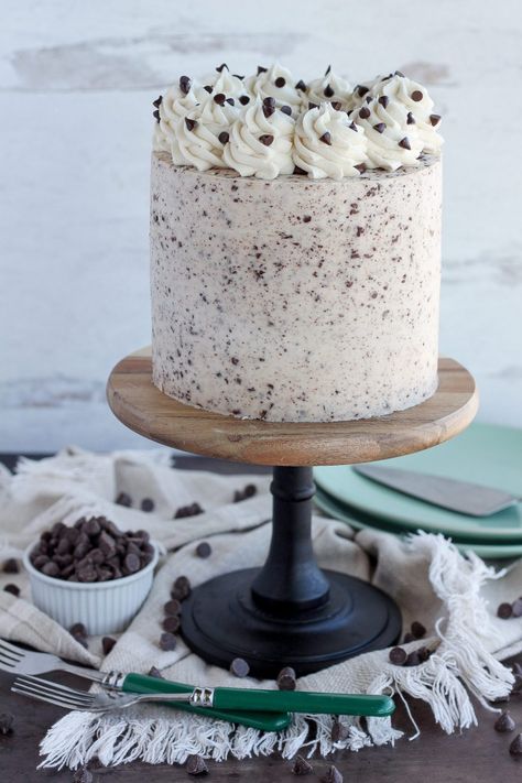 The Best Chocolate Chip Cake - Baking with Blondie Chocolate Chip Cake Decoration, Chocolate Chip Cake Recipe Easy, Moist Chocolate Chip Cake, Chocolate Chip Birthday Cake, Chocolate Chocolate Chip Cake, Chocolate Chips Cake, Cooking Woman, Baking With Blondie, Chocolate Chip Cake Recipe