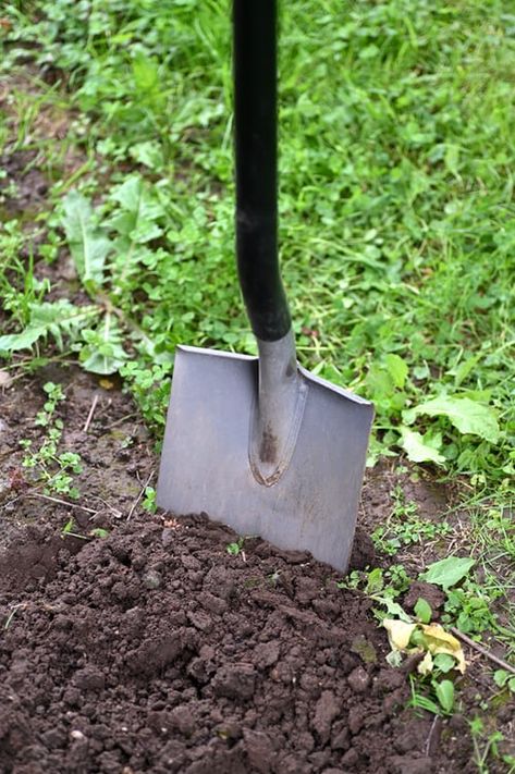 Prayer of Confession, Pentecost +24, Year A Paving Slabs, Soil Testing, Healthy Garden, Top Soil, Tree Stump, Fall Plants, Garden Soil, Types Of Soil, Shovel