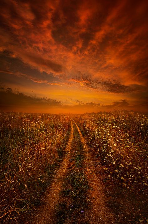 Miles and Miles Away | by Phil~Koch Burnt Sienna, Dirt Road, Road Trip Usa, Best Photographers, Nature Photos, Great Photos, Sunrise Sunset, Beautiful Landscapes, Photography Tips