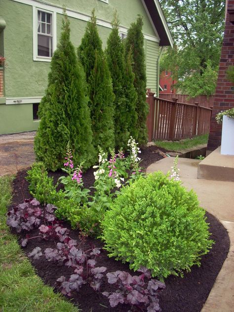 Save money and get great ideas for inexpensive landscape plants from the experts at HGTV Gardens. Plants Backyard, Ideas Para Decorar Jardines, Landscaping Shrubs, Hgtv Garden, Privacy Landscaping, Backyard Plants, Backyard Privacy, Red Clover, Garden Shrubs