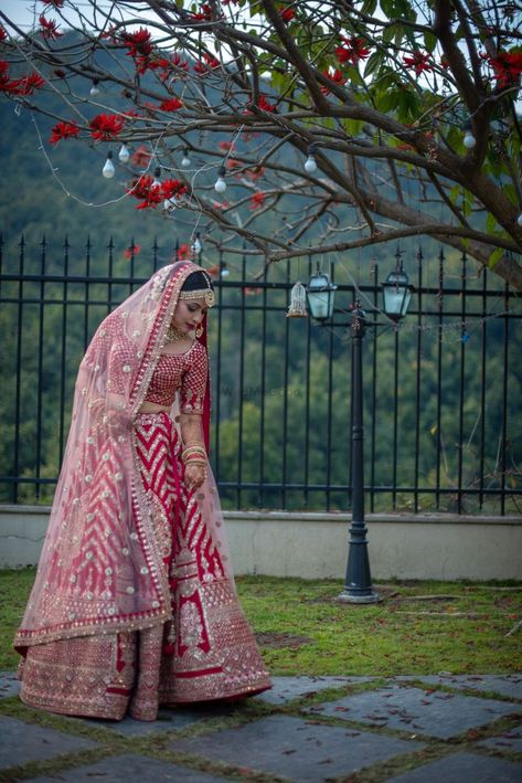 Photo of Bride in red and white lehenga with single dupatta drape Magenta Pink Bridal Lehenga, Red And White Lehenga, Wedding Outfits Bride, Bridal Lehenga Design, Bridal Lehenga Wedding, Kajol Saree, White Lehenga, Punjabi Salwar, Lehenga Dupatta