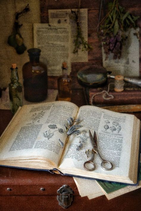 Green Academia Aesthetic, Green Academia, Nature Witch, An Open Book, Cottage Aesthetic, Dark Cottagecore, Magic Aesthetic, Season Of The Witch, Witch Aesthetic