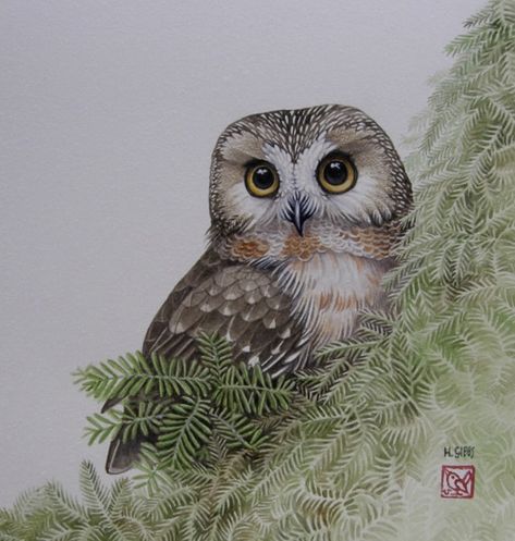 Cute Owl Painting, Cute Owl Art, Owl Tattoo Drawings, Saw Whet Owl, Owl Artwork, Owl Images, Owl Illustration, Bird Carving, Owls Drawing