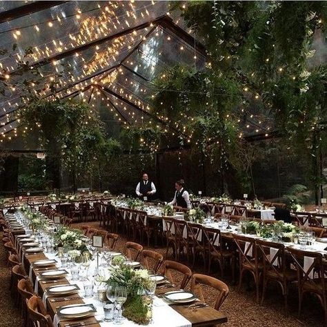 clear tent and string lights forest wedding reception String Lights Outdoor Wedding, Starry Night Wedding Theme, Forest Wedding Reception, Starry Night Wedding, Clear Tent, Wedding Reception Ideas, Organic Wedding, Outdoor Wedding Reception, Martha Stewart Weddings