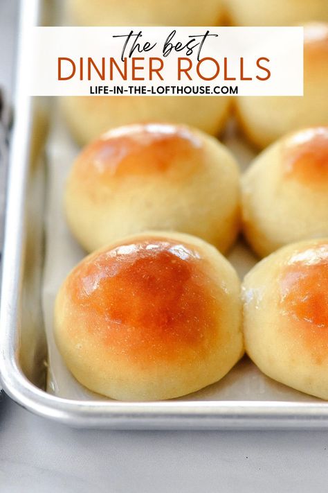 The Best Dinner Rolls Best Rolls Ever, Softest Dinner Rolls, Soft Fluffy Dinner Rolls, Home Old Fashioned Soft And Buttery Yeast Rolls, Hot Roll Recipe, Best Dinner Roll Recipe, Dinner Rolls Recipe Homemade, Mel’s Kitchen Cafe Dinner Rolls, Best Soft & Fluffy Homemade Dinner Rolls