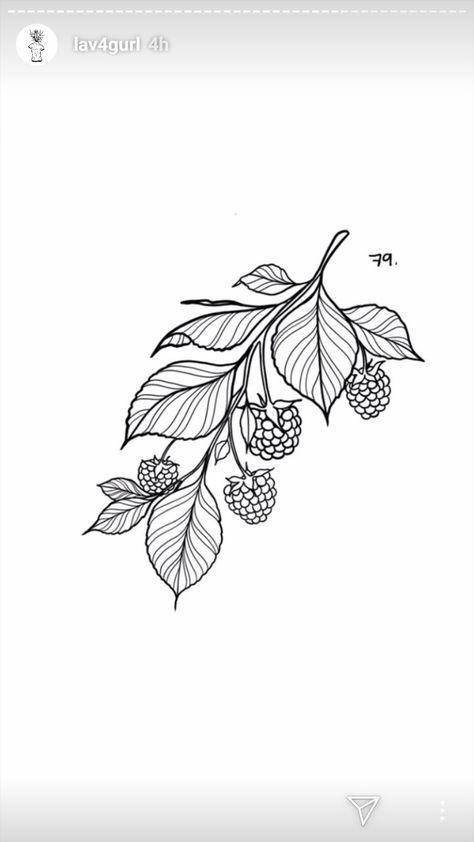 Blackberry Vine Drawing, Foliage Filler Tattoo, Blackberry Collar Bone Tattoo, Long Gap Filler Tattoo, Blackberry Branch Tattoo, Mulberry Tattoo, Raspberry Tattoo, Blackberry Tattoo, Flor Tattoo