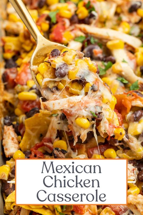 This Mexican chicken casserole is wholesome and comforting! Layers of crispy tortilla chips, Mexican shredded chicken, and plenty of cheese make up this delicious dish. Throw this simple, crowd-pleasing meal together for friends and family! Mexican Shredded Chicken, Mexican Chicken Casserole, Shredded Chicken Recipes, Queso Dip, Mexican Chicken, Easy Casserole Recipes, Chicken Recipes Casserole, Chicken Dishes Recipes, Easy Casserole