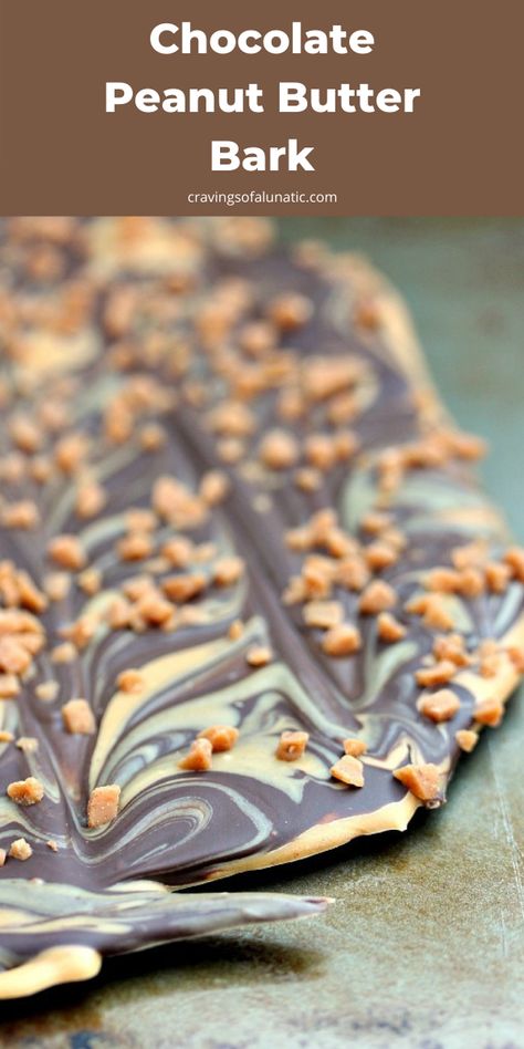 Praline Christmas Bark, Dark Chocolate Peanut Butter Bark, Fall Chocolate Bark, How To Make Bark Candy, Chocolate Cracker Bark, Fall Bark Recipes, Barks Chocolate, Christmas Bark Recipes Easy, Buckeye Bark Recipe