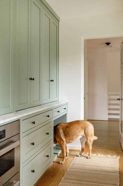 Pet Food Cabinet, Kitchen Green Cabinets, Green Cabinets Kitchen, Interior Design Green, Butlers Pantry Ideas, Kitchen Green, Barn Kitchen, Deck Storage, Butler’s Pantry