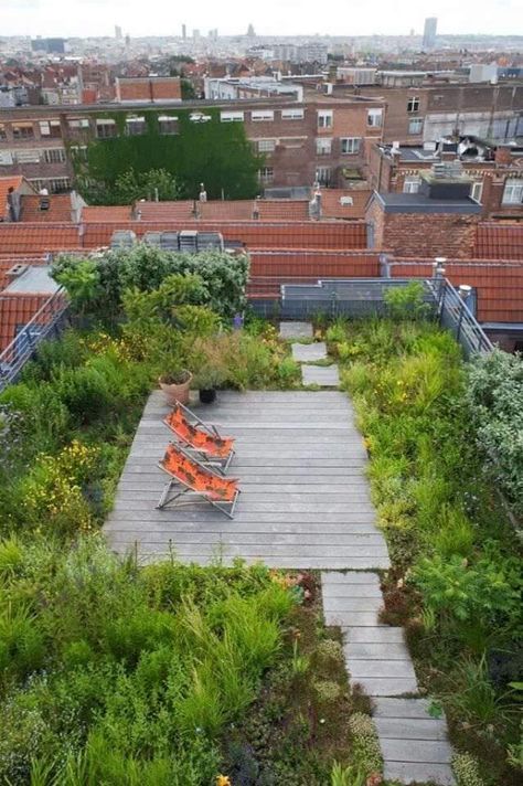 www.1001gardens.org/2014/02/urban-roof-terrace/  When nature conquer rooftop! I love this urban rooftop terrace, a cool place to relax in this world of concrete! Garden Ideas To Make, Elevated Garden, Porch And Balcony, Rooftop Deck, Terrace Design, Rooftop Garden, Apartment Garden, Balcony Design, Roof Terrace