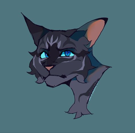 Warrior Cats Headshots, Feline Drawing, Cats Draw, Warrior Cat Drawings, Warrior Cat Oc, Cat Oc, Warriors Cats, Cat Ideas, Oc Drawings