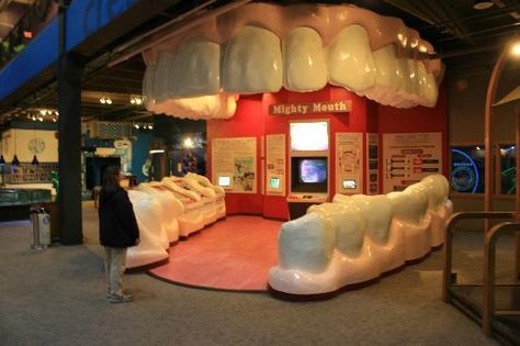 The giant teeth exhibit. Dentist Office Design Interiors, Dokter Gigi, Dentist Office Design, City Picture, Meeting Planning, Dental Office Decor, Aesthetic Dentistry, Medical School Motivation, Medical School Essentials