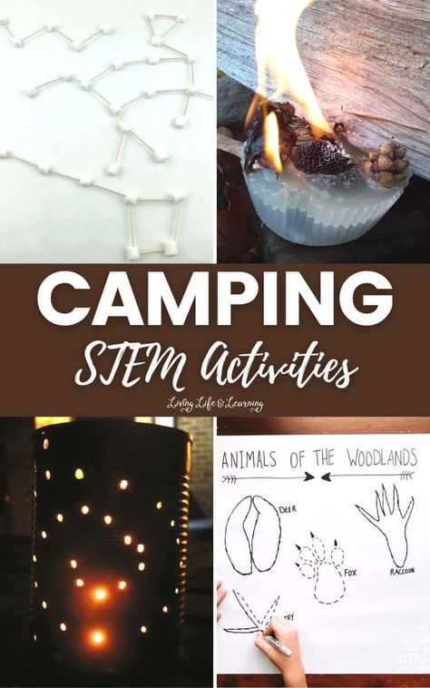 Camping Homeschool Activities, Survival Stem Activities, Camping School Activities, Stem Camp Ideas, Camping Science Experiments For Kids, Camping Science Activities, Camping Stem Activities, Campfire Activity, Girl Scout Camping Activities