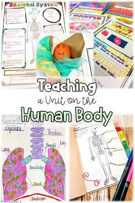 Human Body | Engage students in learning about ten different body systems with this bundle of varied activities including webquests, nonfiction reading, doodle sketch notes, flipbooks, and projects Body Systems Project Middle School, Grade 5 Human Body Systems, Human Body Lessons For Elementary, Middle School Health Activities, Noeo Science, Human Body Activities For Kids, Human Body Homeschool, Science Middle School, Body Systems Project